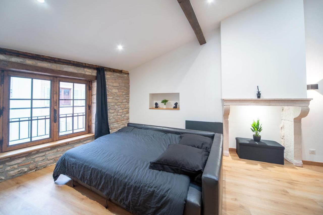 Loft Au Coeur Du Centre Ville Mâcon Eksteriør billede